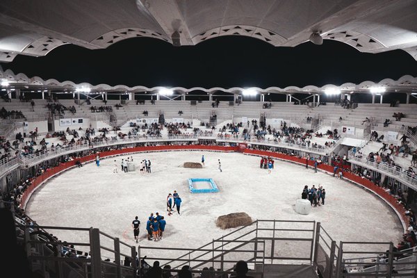 Le hard gainer idéal : boostez votre bodybuilding efficacement